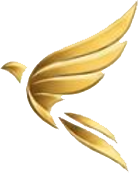VoxXMind